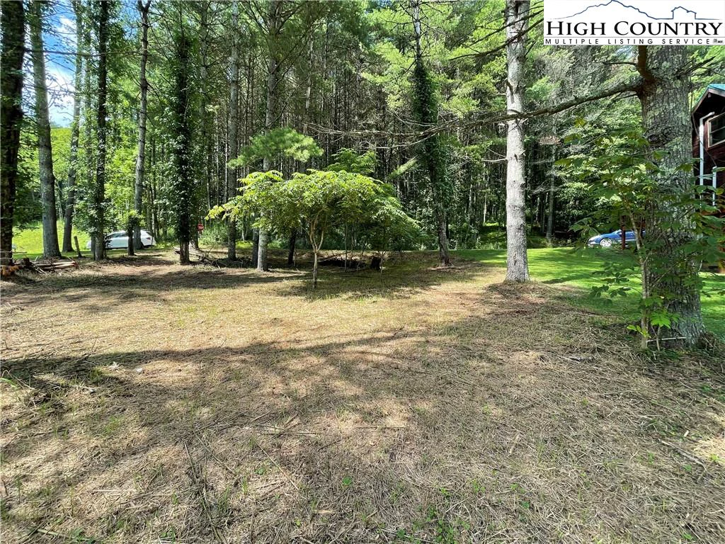 Image number 5 for the current listing