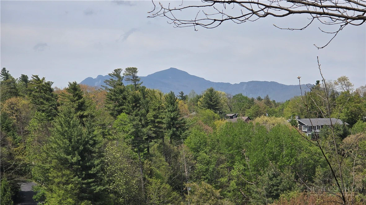 Image number 20 for the current listing