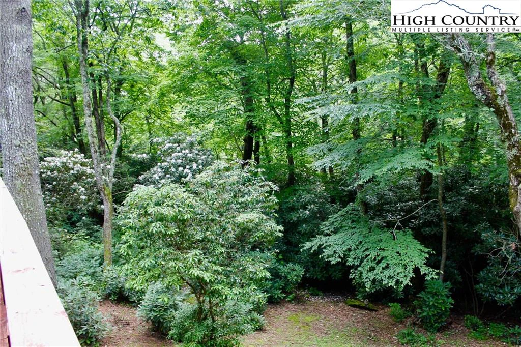 Image number 7 for the current listing