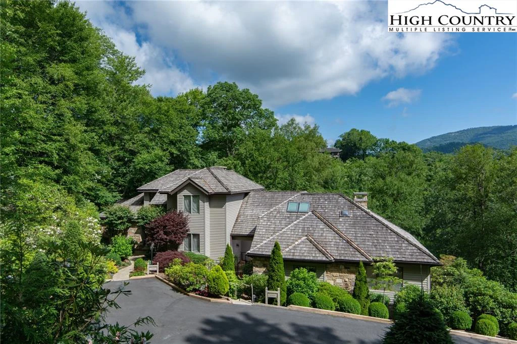 Image number 1 for the current listing