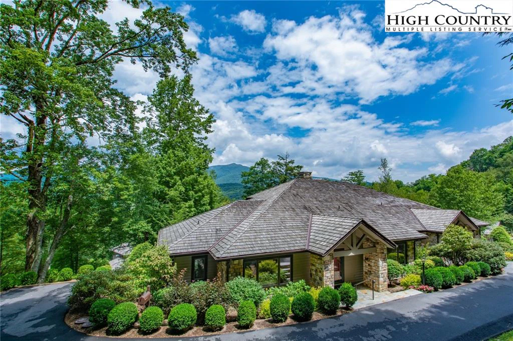 Image number 1 for the current listing