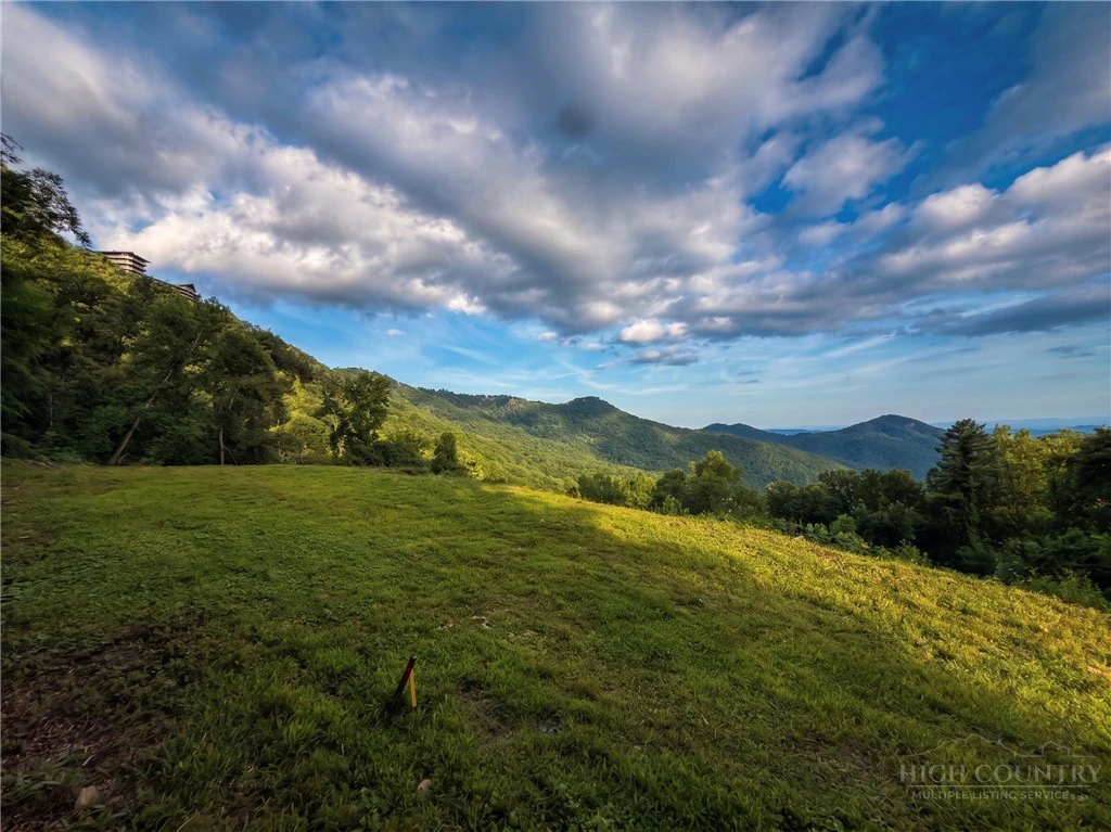 Image number 11 for the current listing