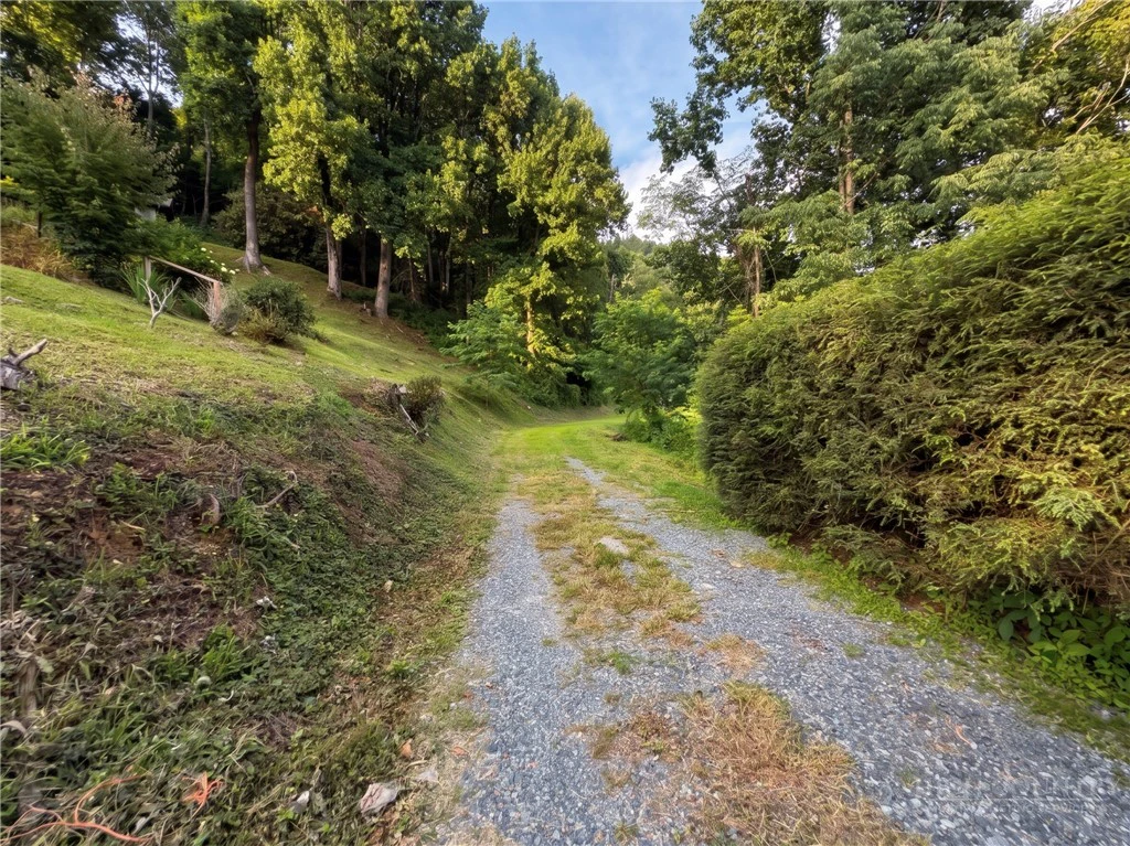 Image number 20 for the current listing