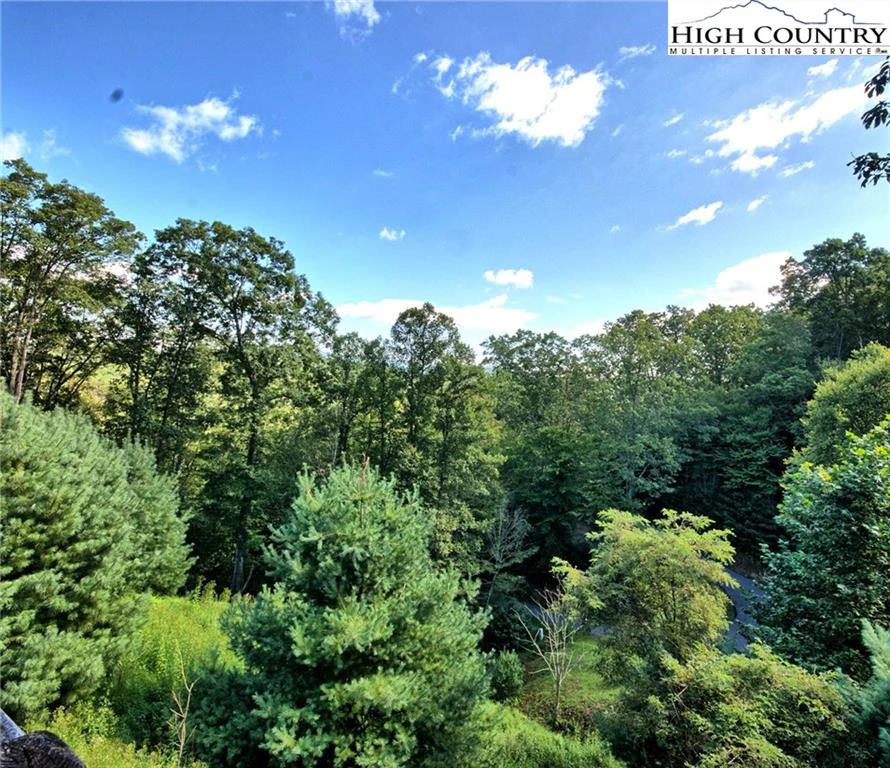 Image number 3 for the current listing