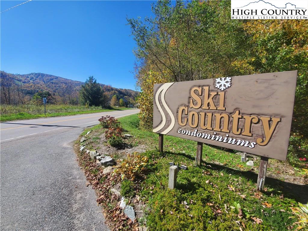 Image number 1 for the current listing
