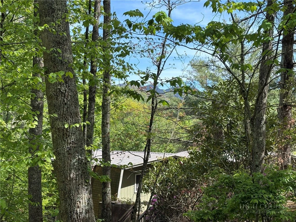 Image number 3 for the current listing