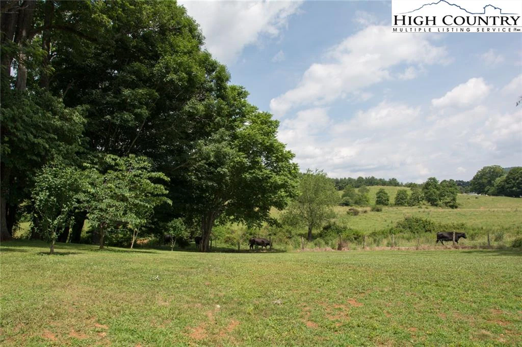 Image number 5 for the current listing