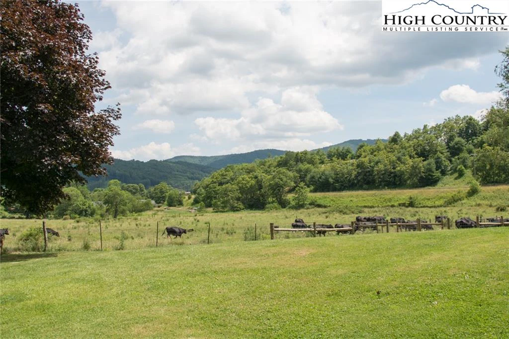Image number 4 for the current listing
