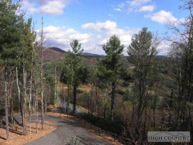 Image number 3 for the current listing