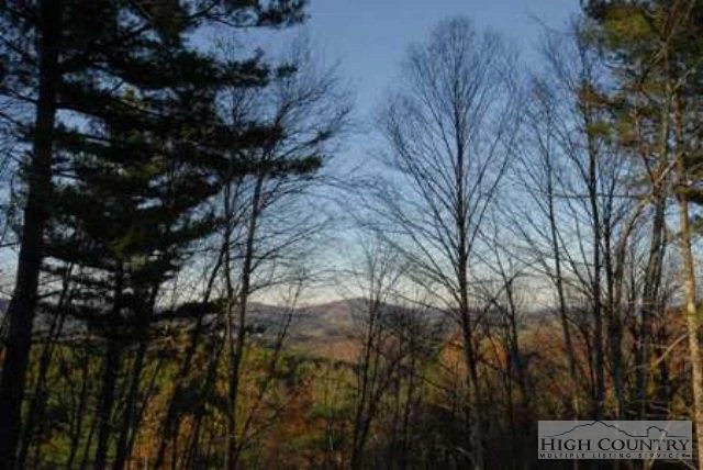 Image number 4 for the current listing