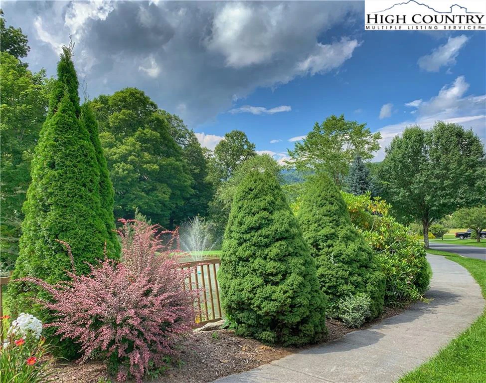Image number 16 for the current listing