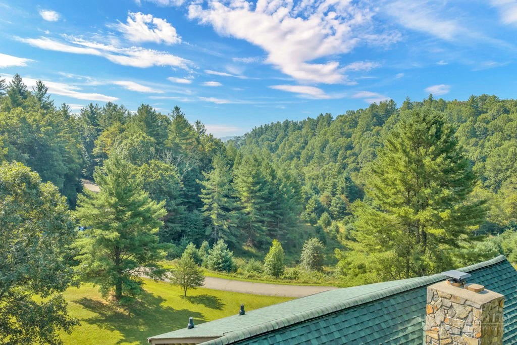 Image number 10 for the current listing
