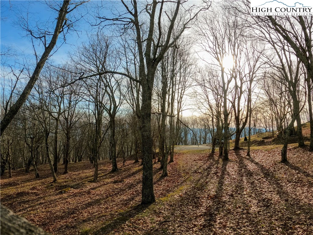 Image number 1 for the current listing