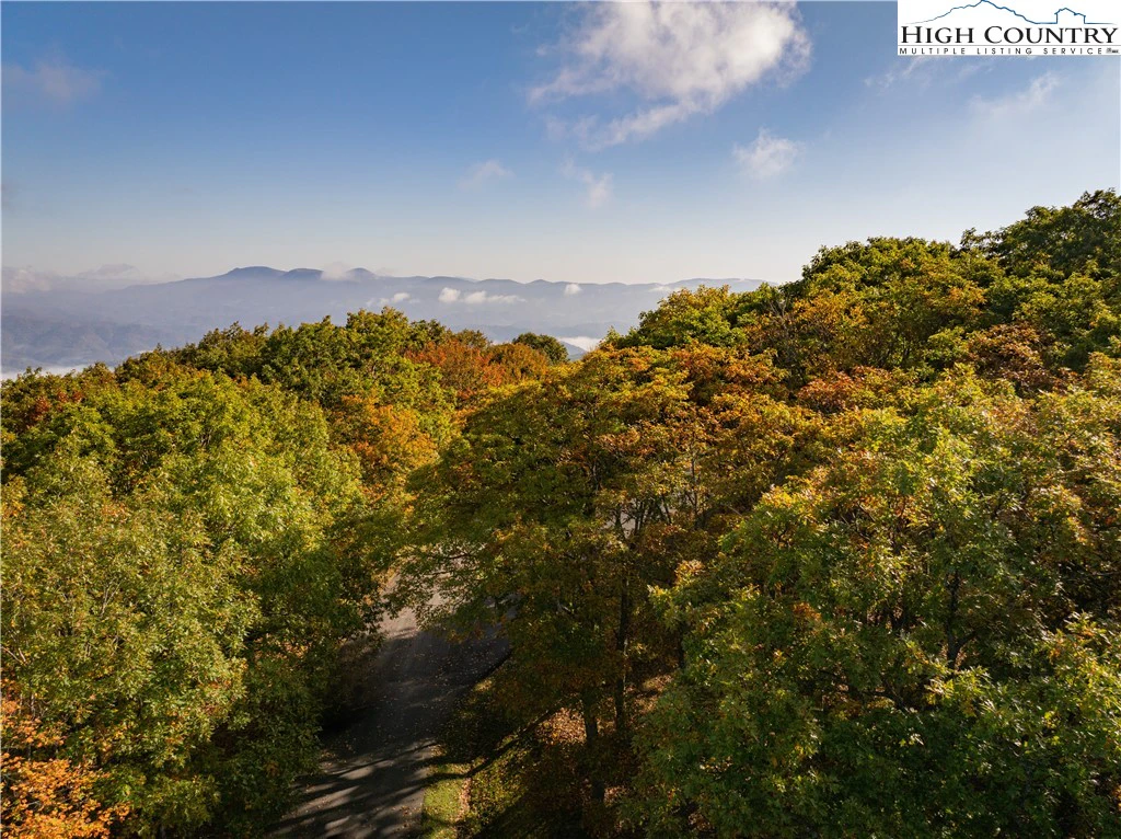 Image number 3 for the current listing