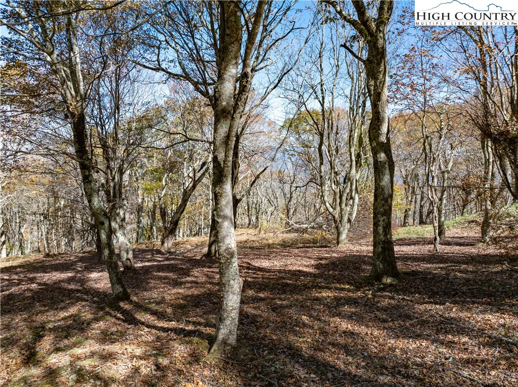 Image number 4 for the current listing