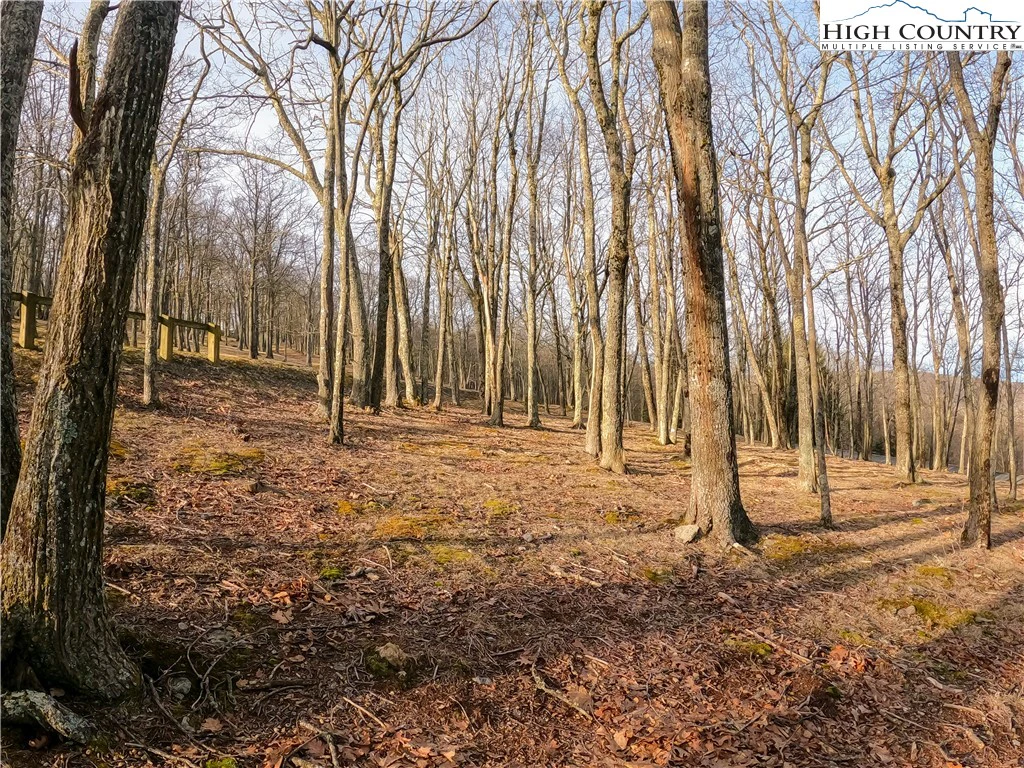 Image number 7 for the current listing