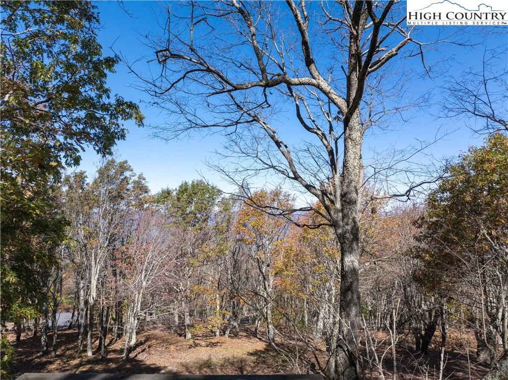 Image number 11 for the current listing