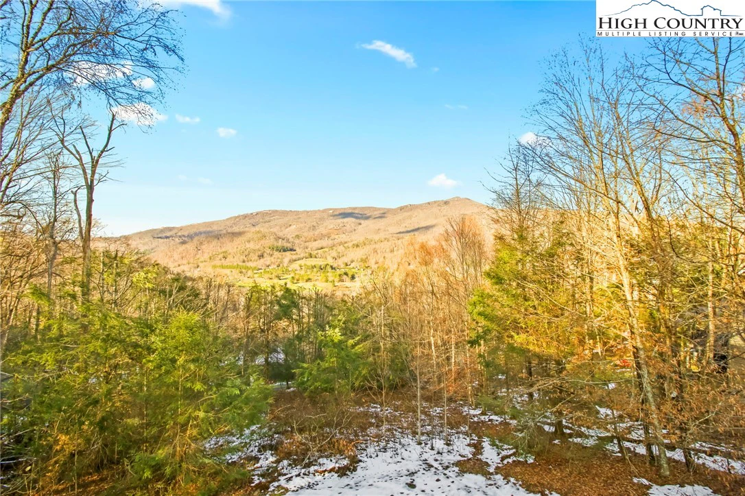 Image number 21 for the current listing