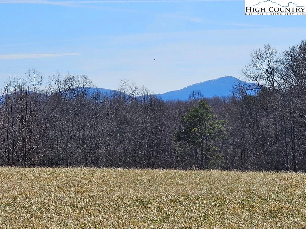 Image number 1 for the current listing