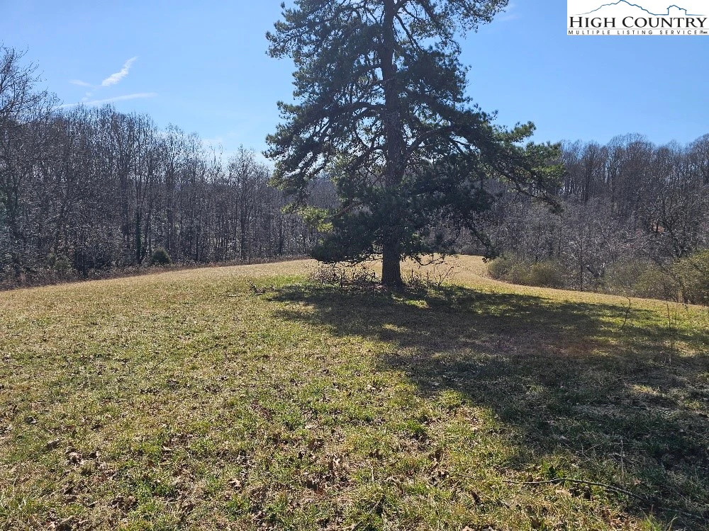 Image number 3 for the current listing