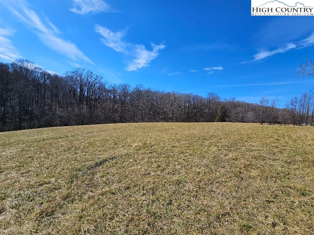 Image number 14 for the current listing