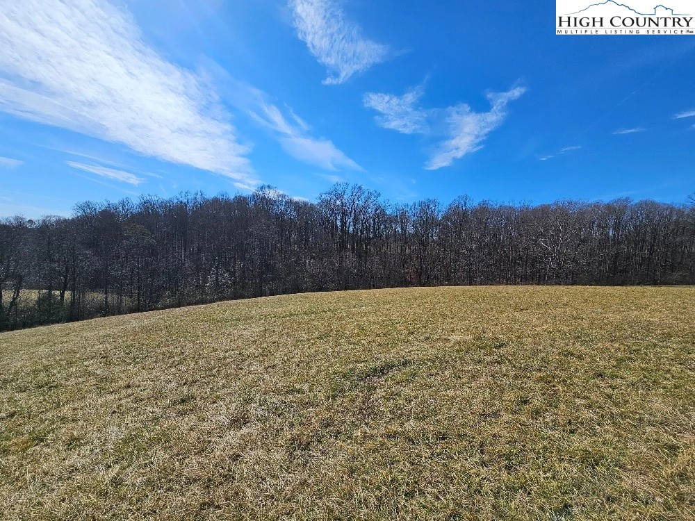 Image number 13 for the current listing