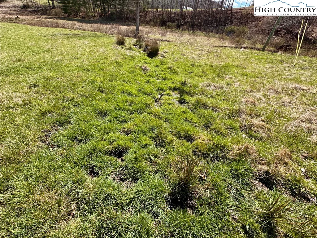 Image number 12 for the current listing
