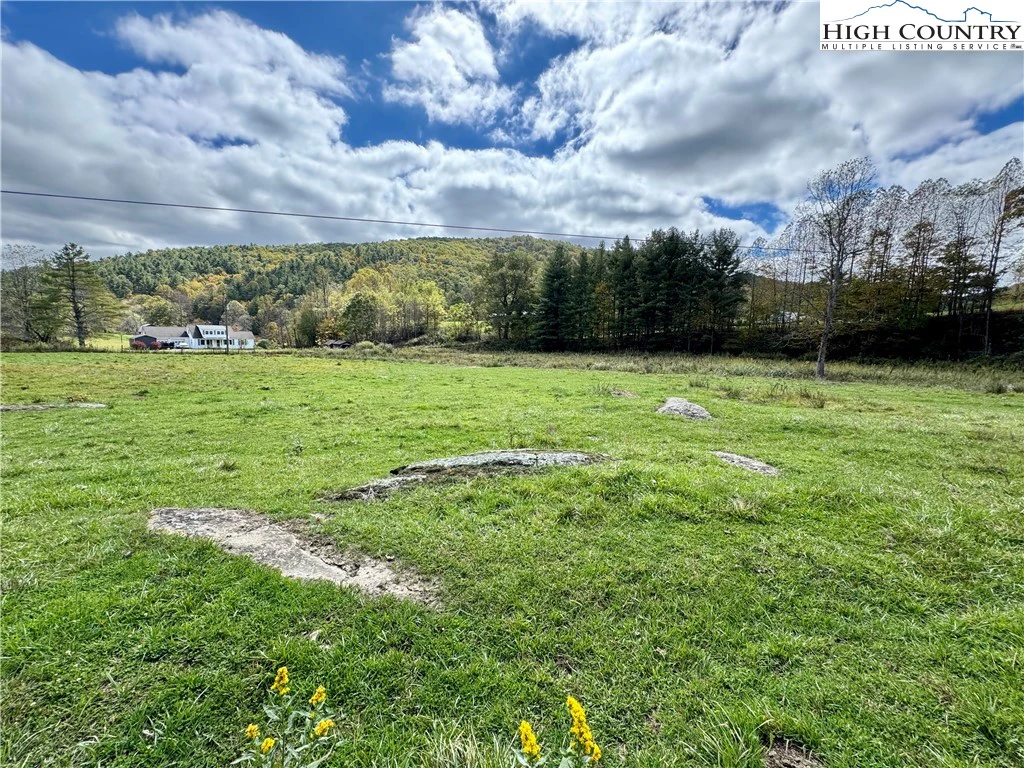 Image number 5 for the current listing