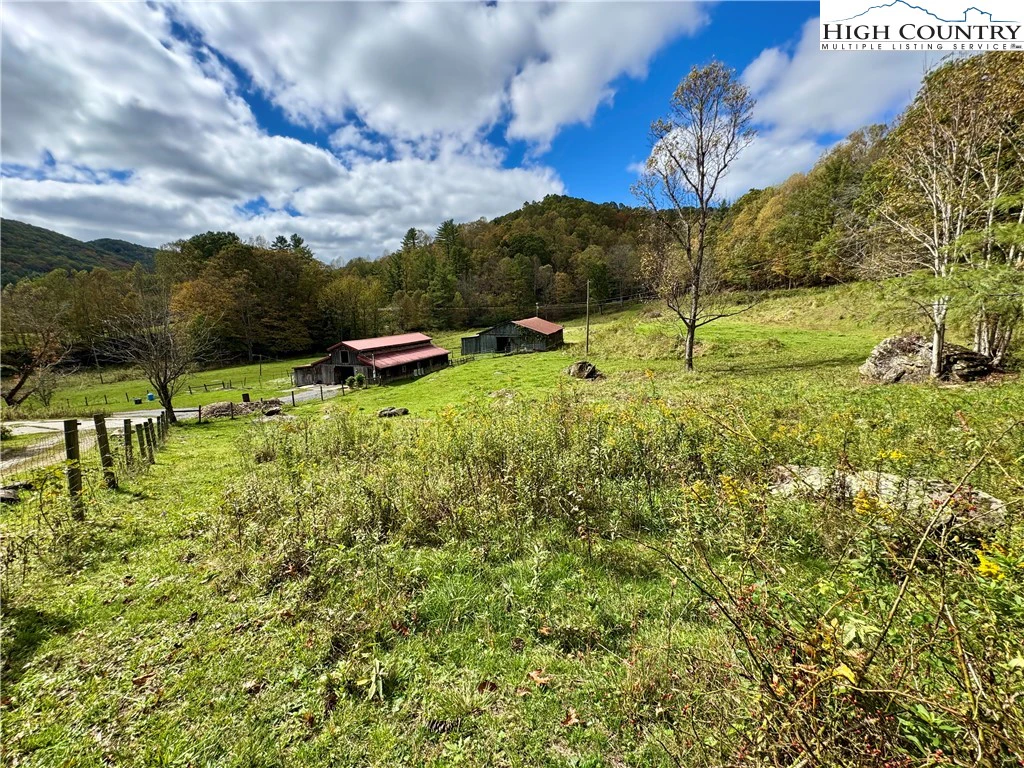 Image number 2 for the current listing