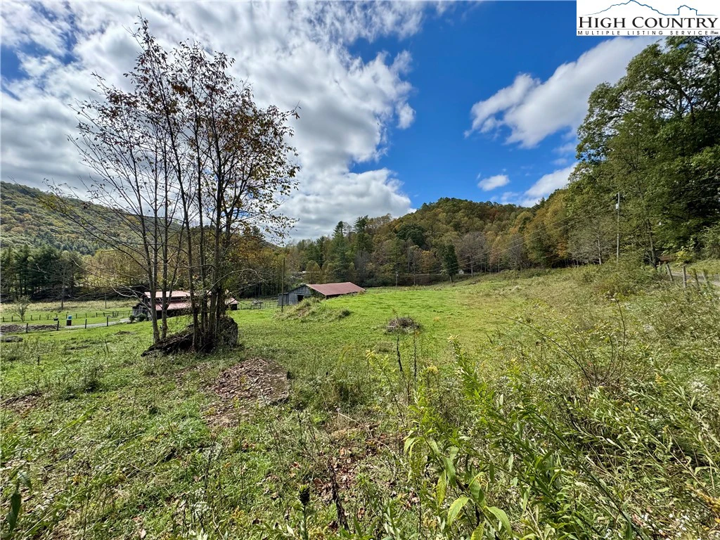 Image number 17 for the current listing
