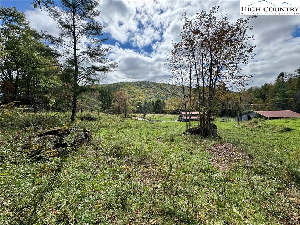 Image number 21 for the current listing