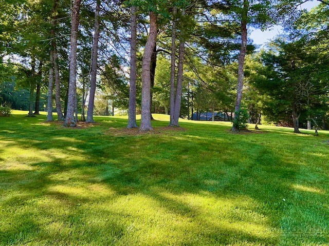 Image number 10 for the current listing
