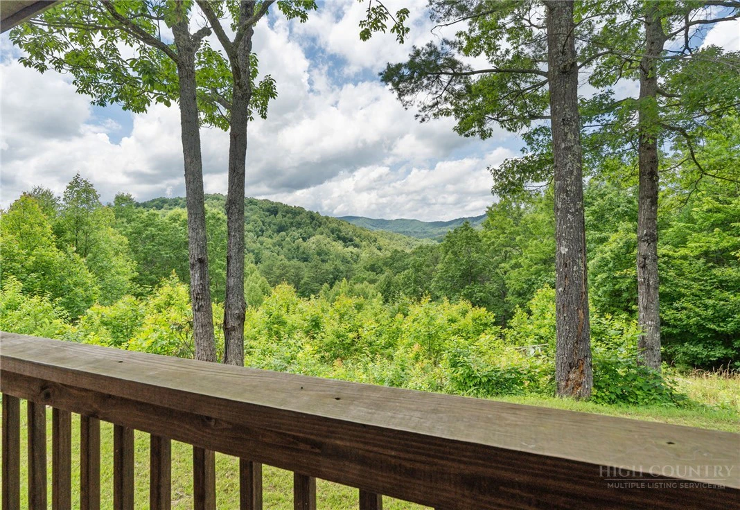 Image number 2 for the current listing