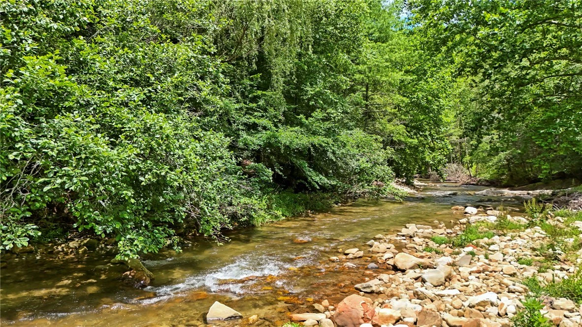 Image number 5 for the current listing