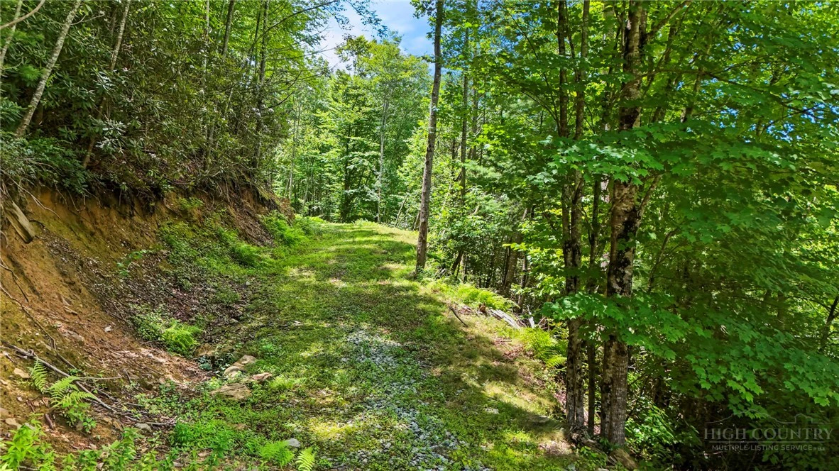 Image number 19 for the current listing