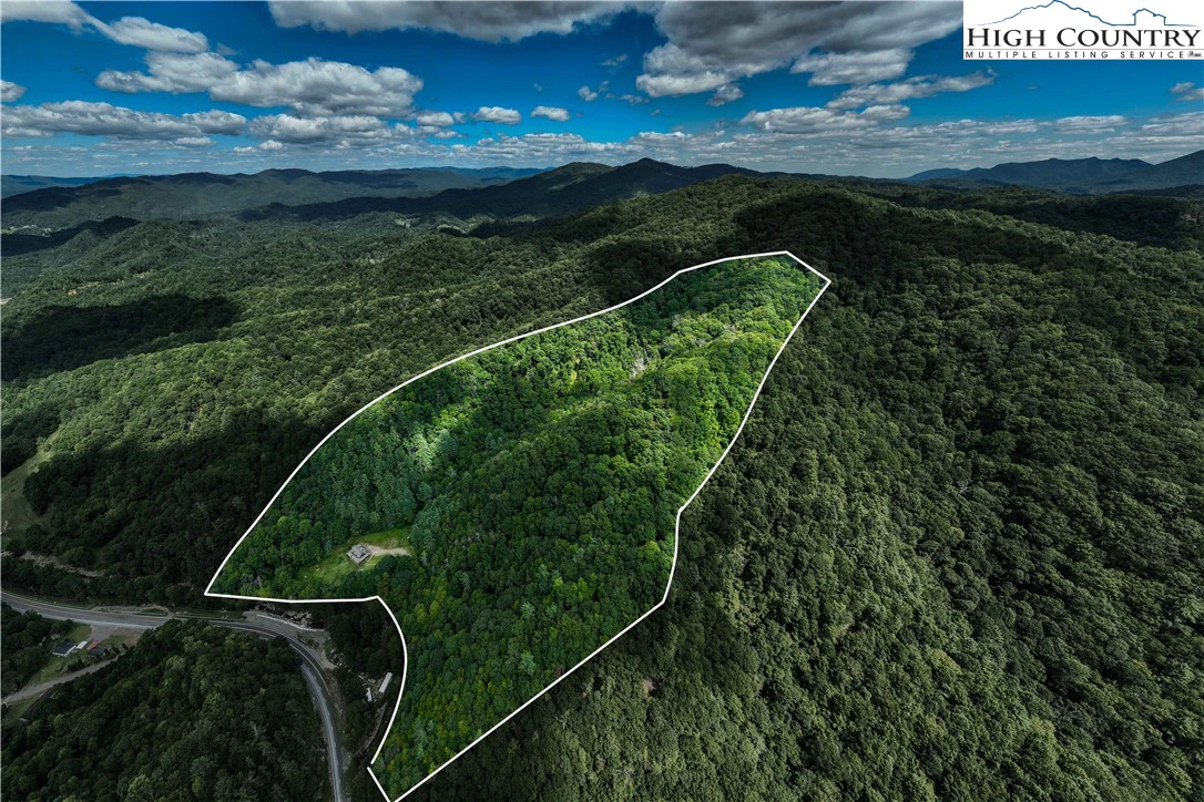 Image number 1 for the current listing