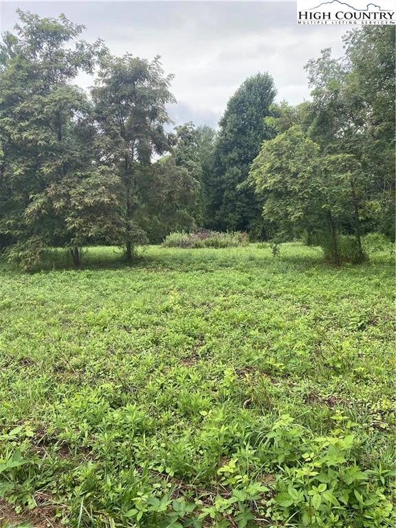 Image number 1 for the current listing