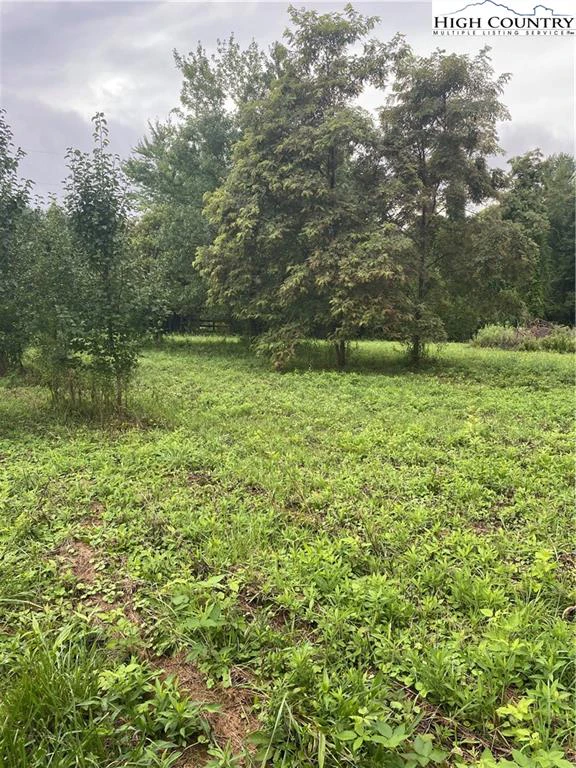 Image number 3 for the current listing