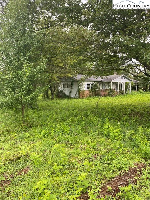 Image number 4 for the current listing