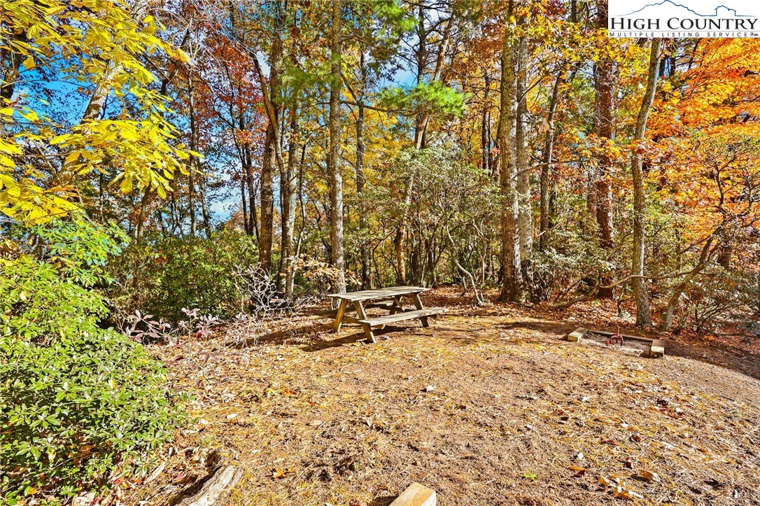 Image number 16 for the current listing