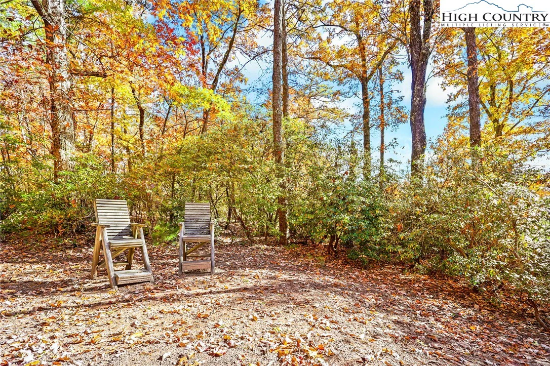 Image number 17 for the current listing