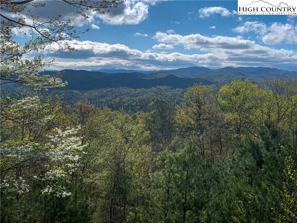 Image number 18 for the current listing