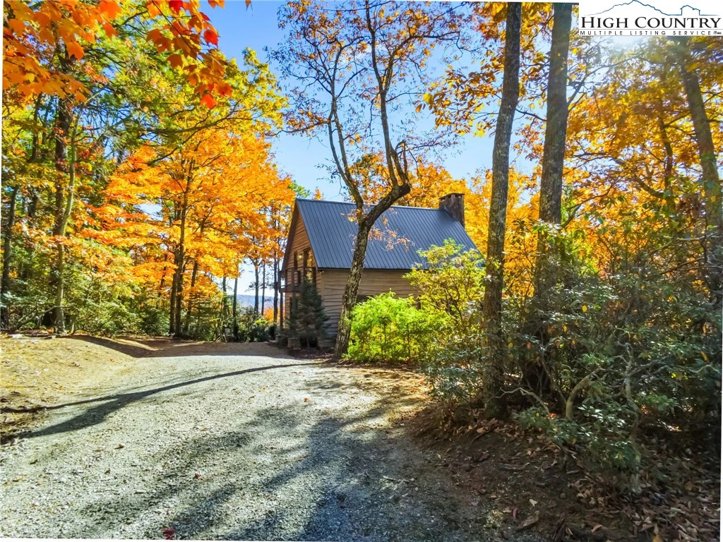 Image number 1 for the current listing