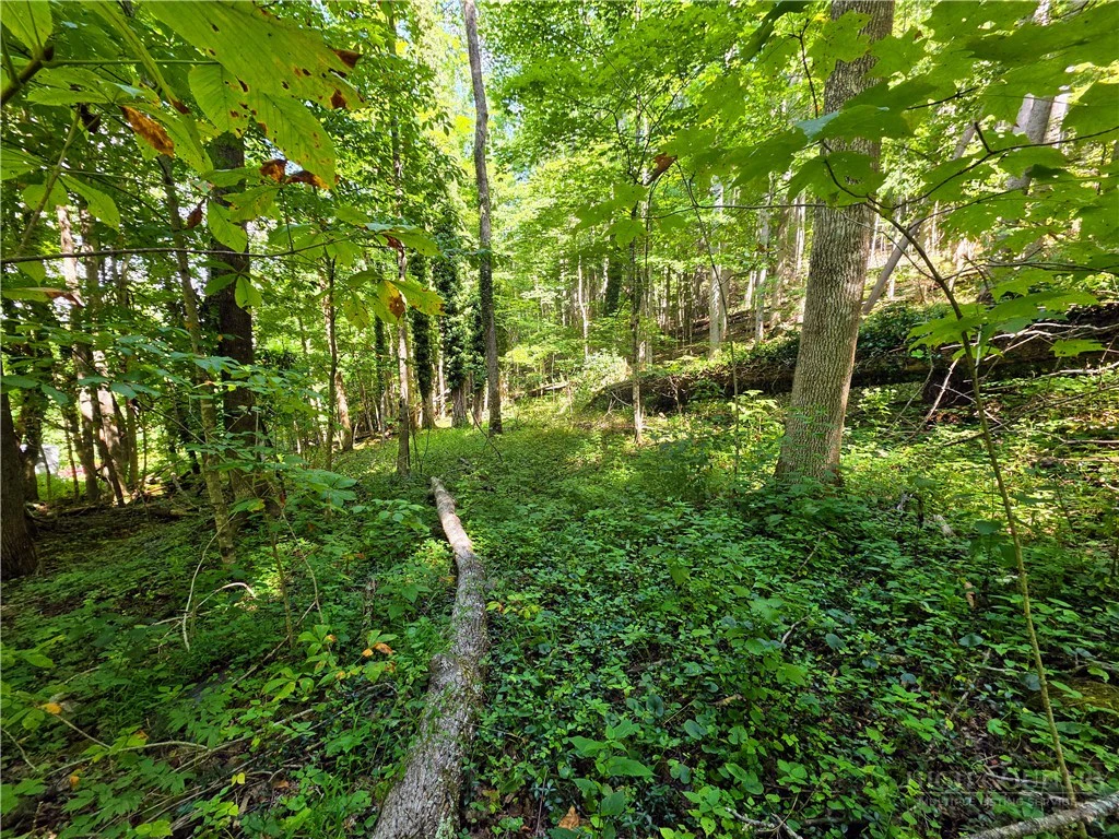 Image number 18 for the current listing