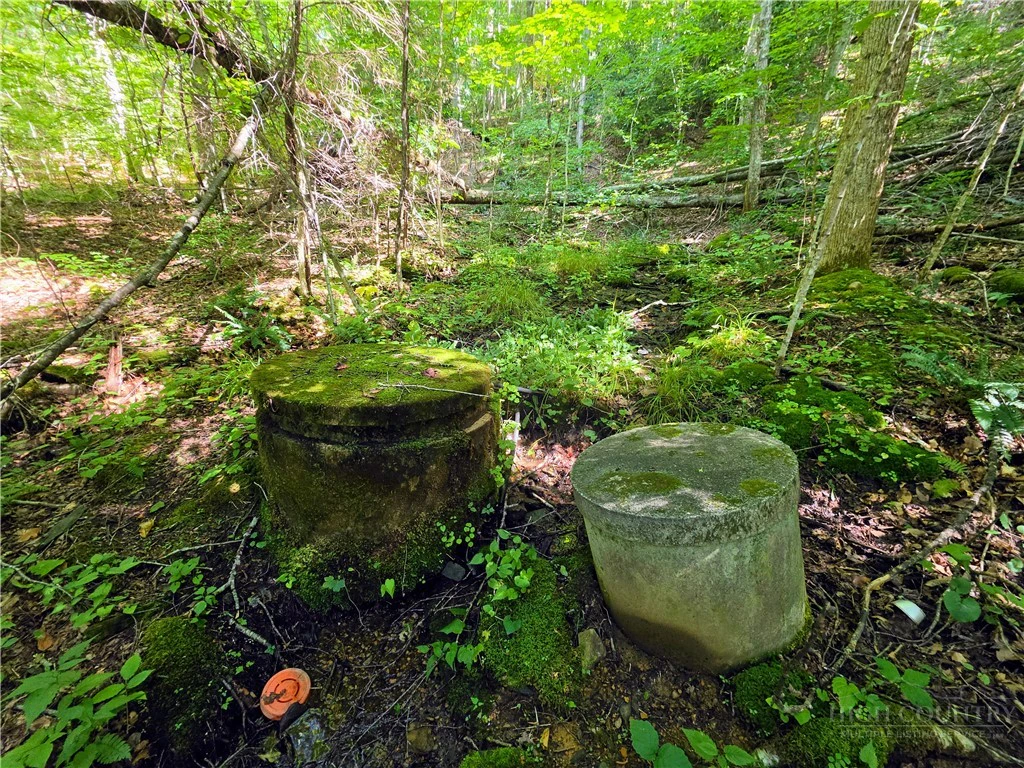 Image number 20 for the current listing