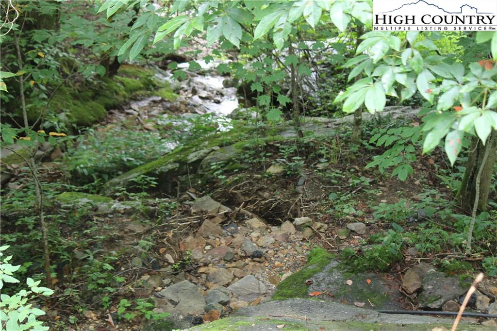 Image number 15 for the current listing