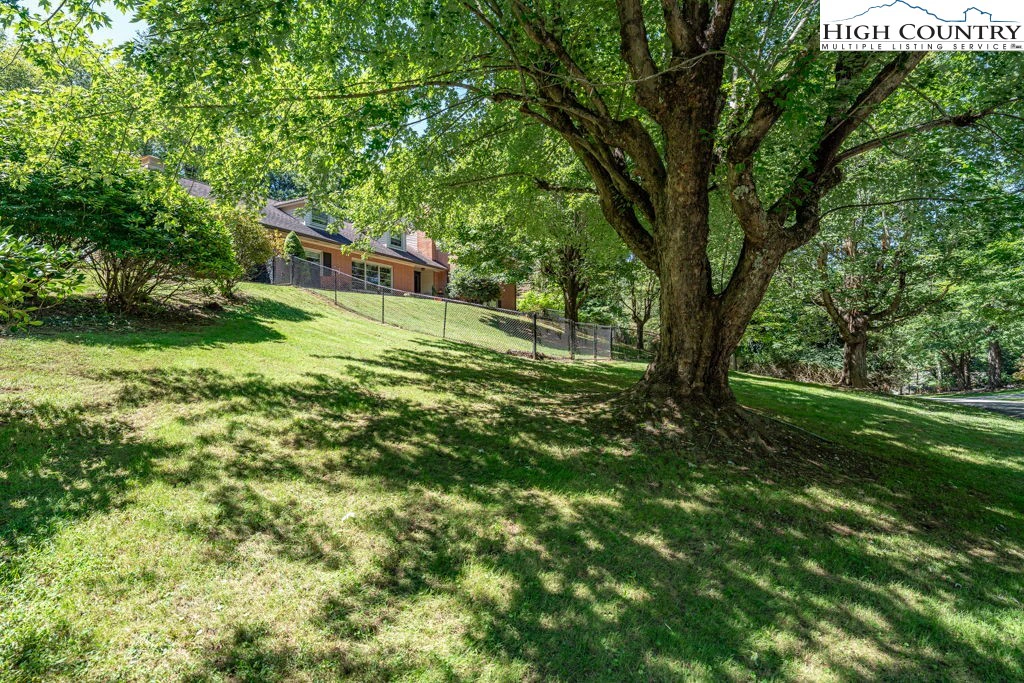 Image number 11 for the current listing