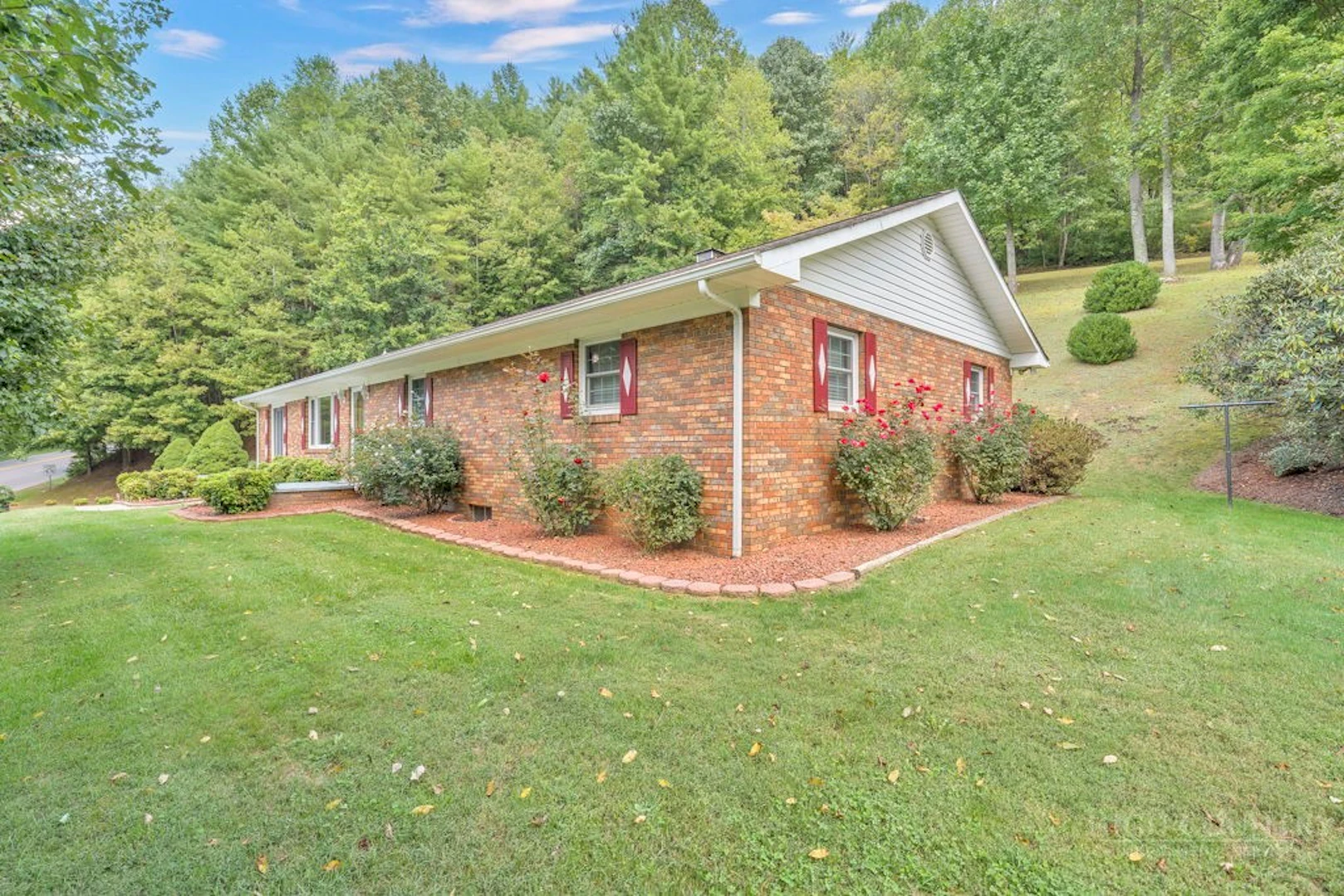 Image number 3 for the current listing