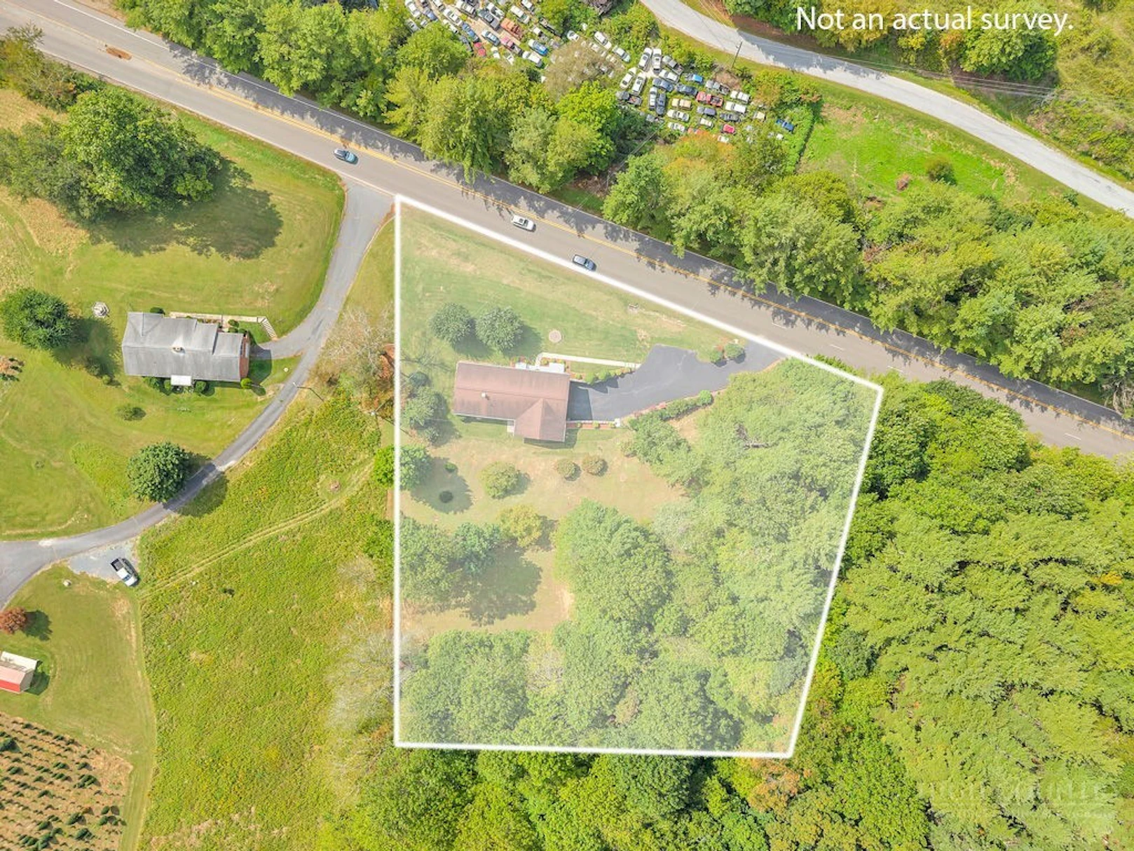Image number 7 for the current listing