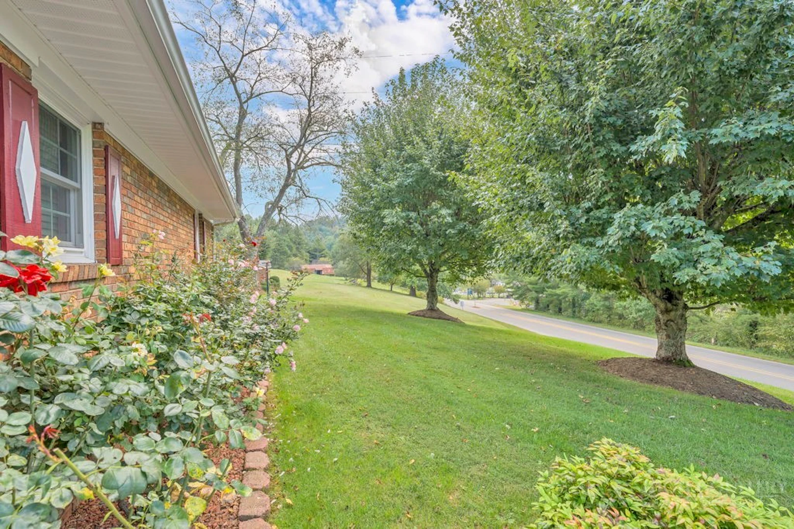 Image number 8 for the current listing
